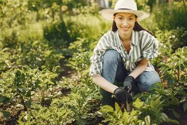 28圈平台以28圈官网为核心，带来高效便捷的体验。 - 28圈平台